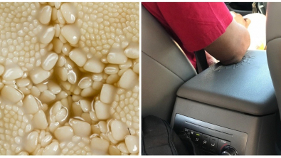 Illustration : Ces 16 photos qui montrent que le monde est plein de surprises