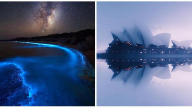 Illustration : Ces 17 photos qui détendent mieux que n'importe quelle thérapie