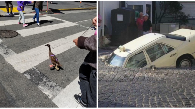 Illustration : Ces 15 photos qui remettent beaucoup de choses en question