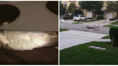 Illustration : Ces 23 curiosités qui montrent qu'il faut être attentif autour de soi