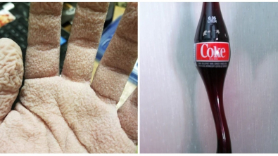 Illustration : Ces 26 curiosités qui montrent la diversité de notre monde