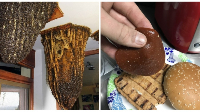 Illustration : Ces 18 internautes ont vu des bizarreries de très près