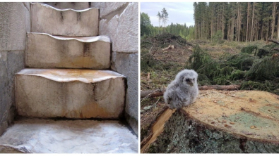 Illustration : Ces 17 photos poignantes montrent les conséquences de nos actes