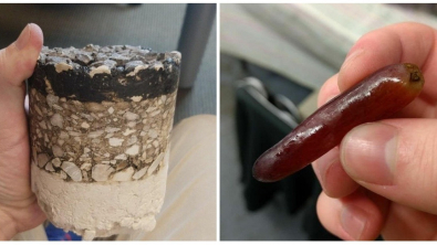 Illustration : Ces 26 curiosités rarissimes mises en ligne par des internautes