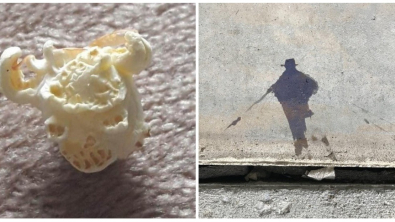 Illustration : Ces 20 curiosités qui trompent l'esprit en ressemblant à quelque chose d'autre