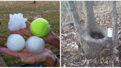 Illustration : Ces 18 curiosités d'une réalité bien particulière