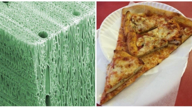 Illustration : Ces 22 photos de choses curieuses capturées un peu partout dans le monde