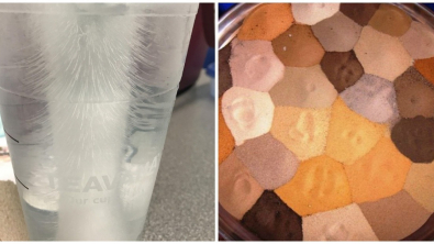 Illustration : Ces 20 curiosités qui affichent le monde sous un autre angle