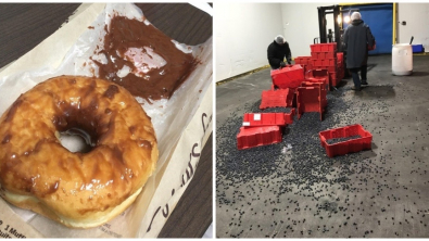 Illustration : Ces 22 photos de personnes pas forcément les plus chanceuses