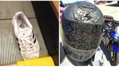 Illustration : Ces 19 photos d'une vie parfois injuste mais drôle