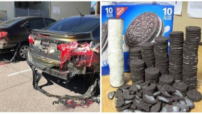 Illustration : Ces 18 photos de situations bizarres capturées par des internautes