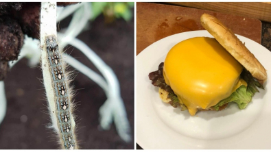 Illustration : Ces 20 phénomènes et situations liés au hasard de la vie