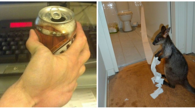 Illustration : Ces 17 scènes assez originales trouvées partout dans le monde