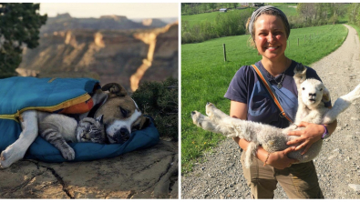 Illustration : Ces 15 photos attendrissantes qui respirent le bonheur