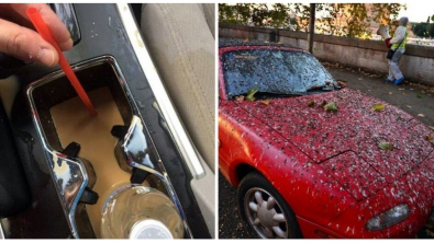 Illustration : Ces 21 photos qui montrent les conséquences de la malchance