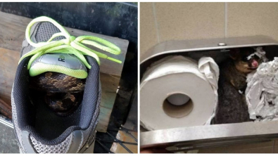 Illustration : Ces 16 photos de situations qu'il vaut mieux éviter sous peine de frissons