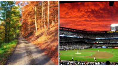 Illustration : Ces 15 photos qui n'ont pas besoin d'être retouchées pour briller