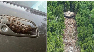 Illustration : Ces 23 photos montrent qu'on peut découvrir chaque jour de nouvelles choses