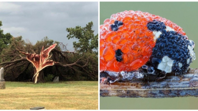 Illustration : Ces 25 choses qu'on ne voit pas souvent mais qui ont le mérite d'exister