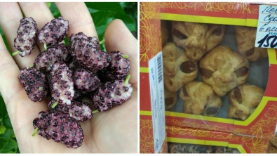 Illustration : Ces 15 photos où il faut dissocier le vrai du faux