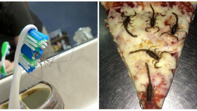 Illustration : Ces 14 photos de choses repoussantes et frissonnantes