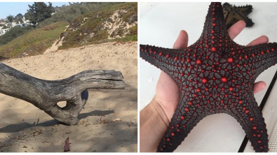 Illustration : Ces 23 photos de choses rares à voir sur la Terre