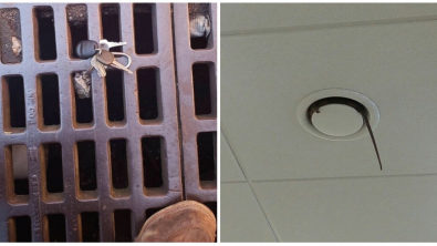 Illustration : Ces 17 photos qui offrent une montée d'adrénaline