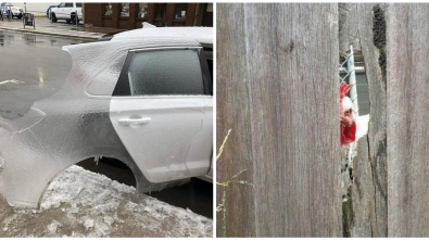 Illustration : Ces 23 photos prises au moment opportun pour marquer le coup