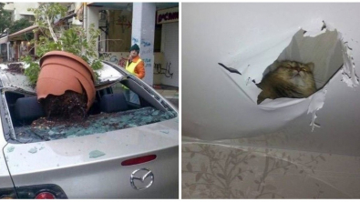 Illustration : Ces 19 façons de mal démarrer une nouvelle semaine