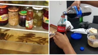 Illustration : Ces 22 personnes aux idées illogiques et peu utiles