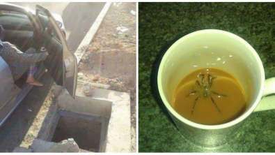 Illustration : Ces 25 personnes qui vivent une journée dont ils se souviendront longtemps