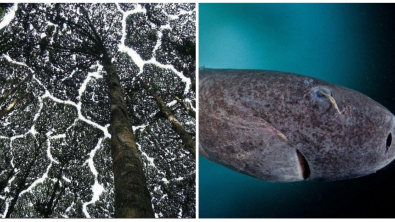 Illustration : Ces 16 photos qui montrent le pouvoir et la diversité de la nature