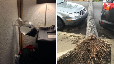 Illustration : Ces 14 personnes nées sous une bonne étoile