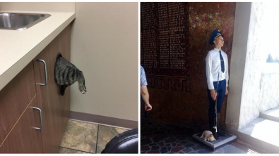 Illustration : Ces 14 scènes du quotidien capturées par un smartphone