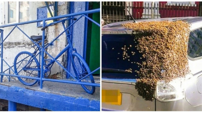 Illustration : Ces 13 situations où quelque chose ne va pas