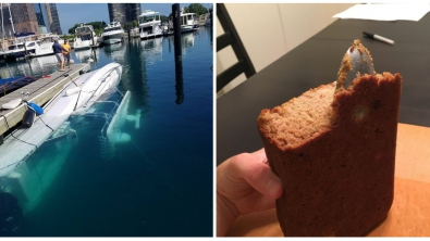 Illustration : Ces 24 photos où un oubli a eu des conséquences fâcheuses