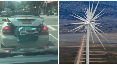 Illustration : Ces 18 photos parfaites prises à l'instant idéal