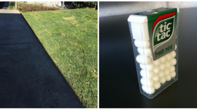 Illustration : Ces 21 photos où la perfection est recherchée coûte que coûte