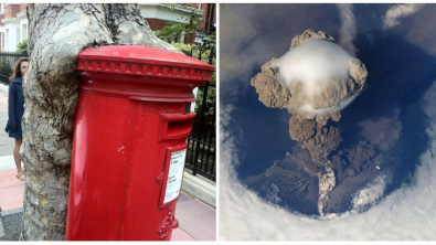 Illustration : Ces 18 photos montrant la force de la nature