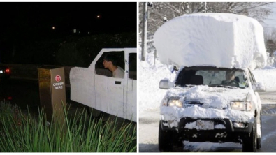 Illustration : Ces 20 scènes où la bêtise humaine a encore repoussé les limites