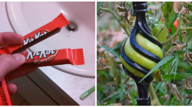 Illustration : Ces 22 photos qui se rapprochent de la perfection