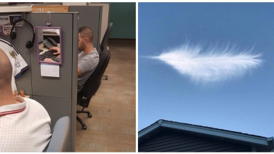 Illustration : Ces 22 photos qui réclament une attention particulière