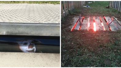 Illustration : Ces 19 idées créatives de décorations pour Halloween