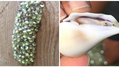 Illustration : Ces 22 images qui donnent un regard nouveau sur le monde