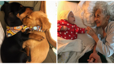 Illustration : Ces 25 moments fabuleux et adorables de la vie