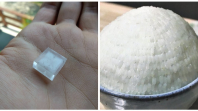 Illustration : Ces 20 photos de choses et situations quasiment parfaites