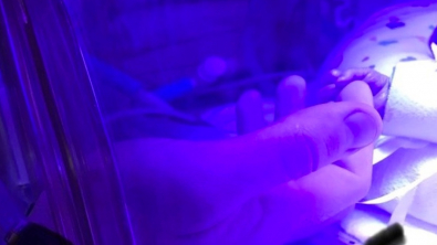 Illustration : Ces 16 photos qui transmettent de belles émotions