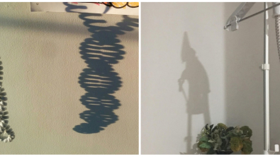 Illustration : Ces 19 ombres bien différentes de leur corps réel