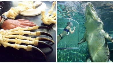 Illustration : Ces 21 photos qui montrent la taille réelle des sujets