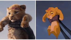 Illustration : "Ces 8 similitudes déjà observées entre le Roi Lion de 1994 et celui de 2019"